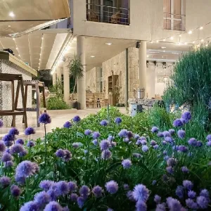Hotel Carmen Eforie N