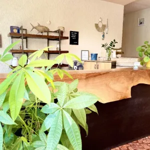 Hotel Carmen Eforie N