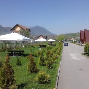 Pensiunea Cristal