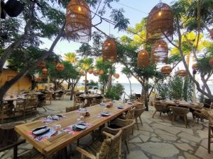 Hotel Tsokkos Gardens