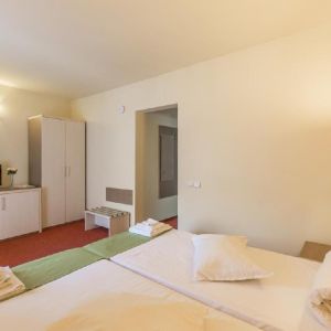 Hotel Bacolux Diana Resort Herculane