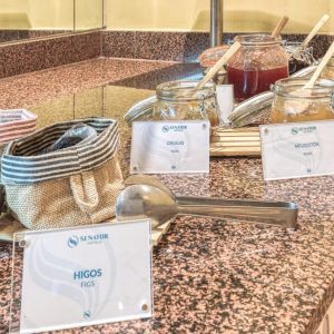 Hotel Senator Marbella Spa