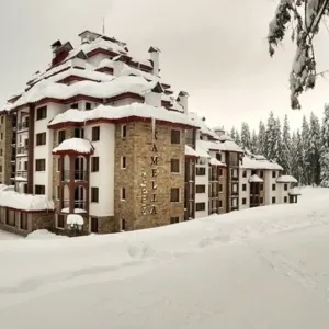 Complex Kamelia