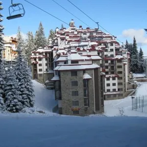 Complex Kamelia