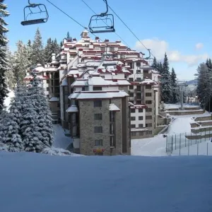 Complex Kamelia