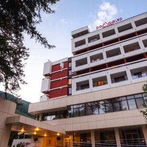 Hotel Domogled