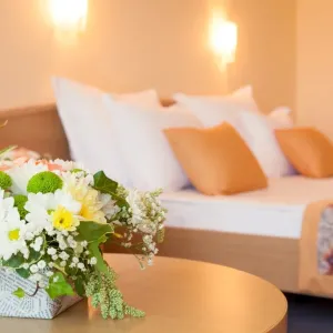 Hotel Wela