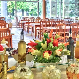 Hotel Vita Park