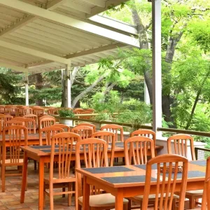 Hotel Vita Park