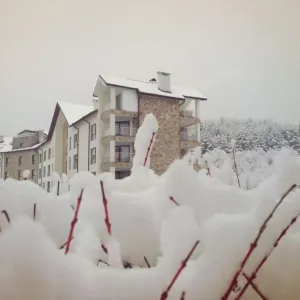 Hotel Saint George Palace
