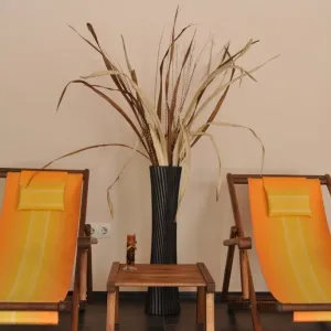 Apart Hotel Adeona Ski and Spa