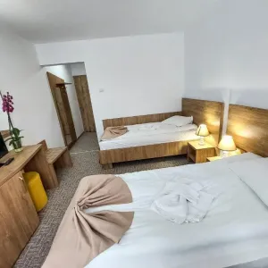 Hotel Montana Covasna