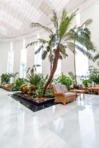 Hotel Spring Vulcano