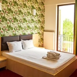 Hotel Alma Mamaia
