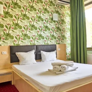 Hotel Alma Mamaia