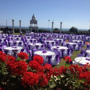Hotel Alba Resort