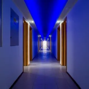 Hotel Apollo Mamaia