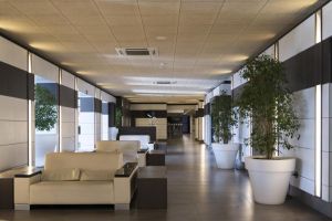 Hotel Papi Blau