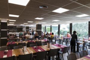Hotel Papi Blau