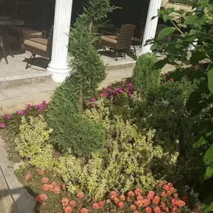 Hotel Elit