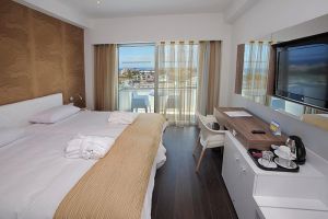 Hotel Nestor