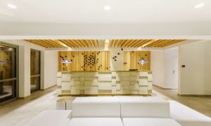 Hotel Orion