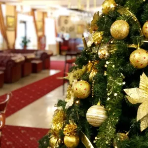Elegant Lux Aparthotel