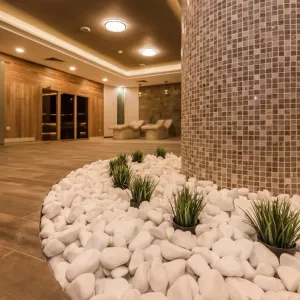 Hotel Lion Bansko
