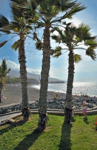Hotel Sol Puerto de la Cruz