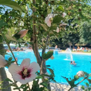 Hotel Koral (St.Constantin)