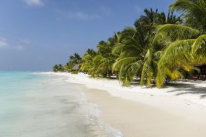 Hotel Meeru Island Resort and Spa