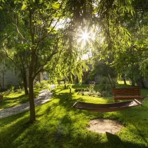 Complex Green Village Resort