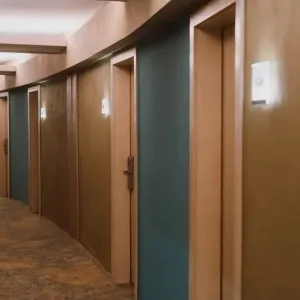 Ursina Ensana Health Spa Hotel Sovata