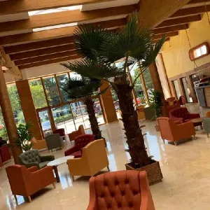 Hotel Poseidon Resort and SPA Jupiter
