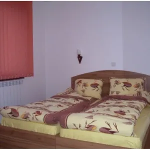Vien Guest House Hotel Bansko