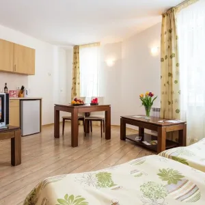 Hotel Stream Resort