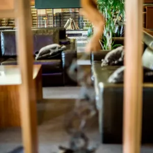 Snezhanka Hotel