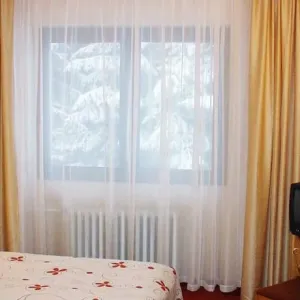 Hotel Bor