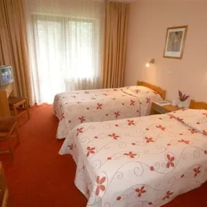 Hotel Bor