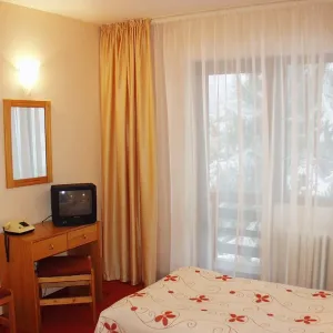Hotel Bor