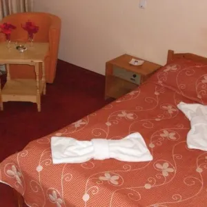 Hotel Bor