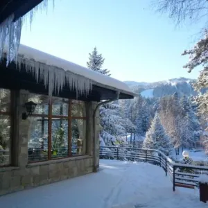 Hotel Bor