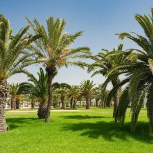 Hotel Iberostar Selection Mirage Hammamet (Ex.The Miraje Resort and Spa)