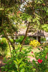Hotel Sandies Baobab Beach