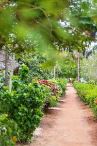 Hotel Sandies Baobab Beach