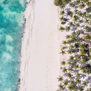 Hotel Karafuu Beach Resort and Spa - Pingwe