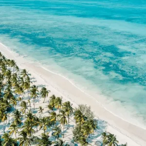 Hotel Karafuu Beach Resort and Spa