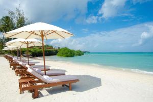 Hotel Sea Cliff Resort and Spa - Mangapwani