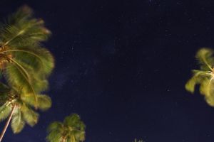 Hotel Neptune Pwani Beach Resort and Spa