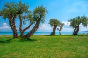 Hotel Domes Miramare, a Luxury Collection Resort